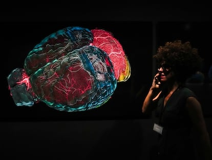 Una mujer visita la muestra 'Cerebro(s)' del Centro de Cultura Contemporánea de Barcelona (CCCB).