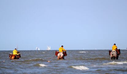 Pescadores de camarones montan sus caballos en el mar, en la ciudad costera de Oostduinkerke (Bélgica).