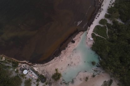 Vista aérea de uma praia pública em Playa del Carmen. O acúmulo de sargaço deixa uma enorme mancha marrom sobre a areia.