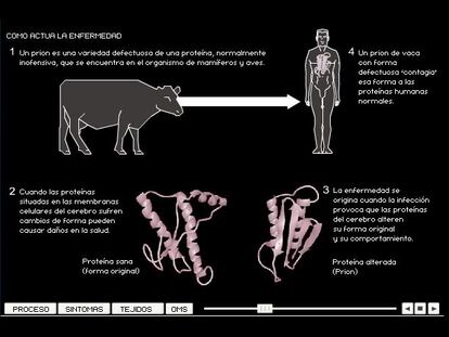 Sanidad investiga si una mujer murió por el mal de las 'vacas locas'