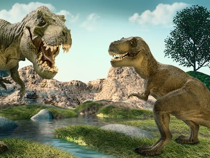 Imagined recreation of two possible T-Rex together.