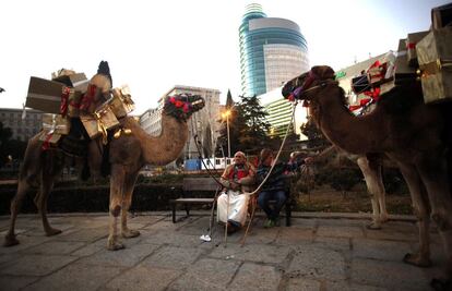 Los camellos se toman un descanso antes de comenzar el recorrido por las calles de Madrid.