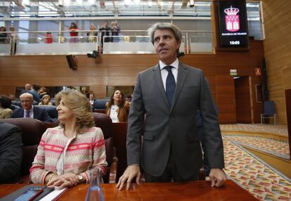 Ángel Garrido, en la Asamblea de Madrid.