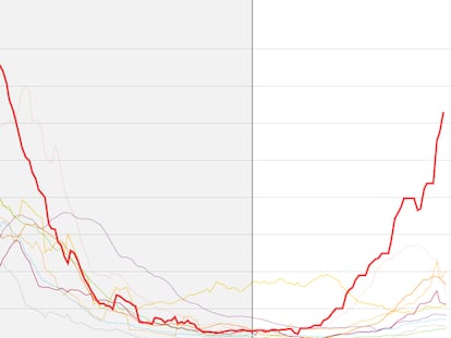 Grafico covid