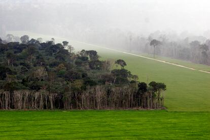 Una plantación de soja en la Amazonia brasileña.