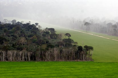 Una plantación de soja en la Amazonia brasileña.