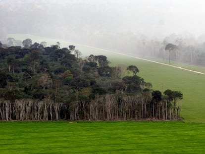 Una plantación de soja en la Amazonia brasileña.