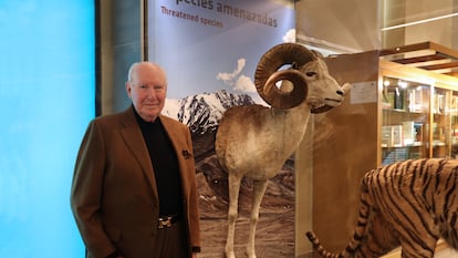 Nicolás Franco Pasqual del Pobil, junto al carnero de Marco Polo, en el Museo Nacional de Ciencias Naturales de Madrid.