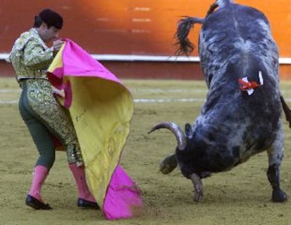 El segundo toro pierde las manos al recibirlo con el capote Enrique Ponce.