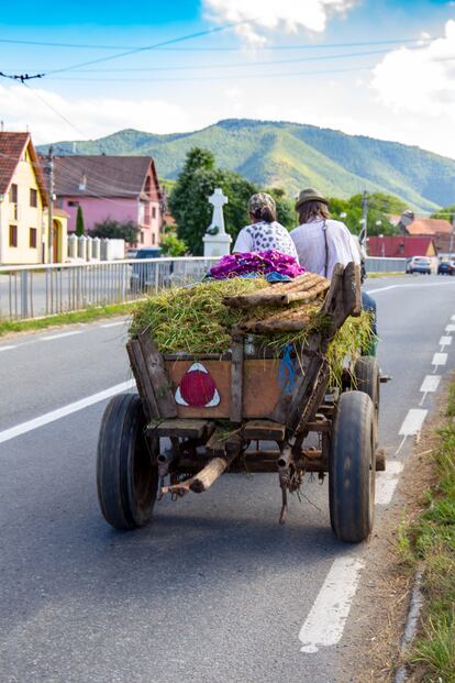 Tradiciones con sabor a queso en Rasinari (Rumania). Al sur de Transilvania y al pie de los montes Cindrel y Lotru, , en la cordillera de los Cárpatos, Rasinari es un pueblo donde su buen queso es moneda corriente: por algo es un producto destacado en la Ruta del Queso del condado de Sibiu, distrito al que pertenece. El mejor momento para degustarlo es el 25 de agosto, fecha del Festival del Queso y el Brandy, en el que los lugareños cocinan una polenta de queso de 25 metros de largo. Rasinari también se siente orgullosa de sus tradiciones folclóricas, que siguen vivas gracias a su grupo de danza y a su museo etnográfico. Además, a escasos kilómetros se encuentra el Museo Tradicional de Astra, el museo al aire libre más importante de Rumania. Situado en la reserva natural de Dumbrava Sibiului, en él se muestran centenares de objetos y edificaciones rurales que ayudan a entender la identidad transilvana. 