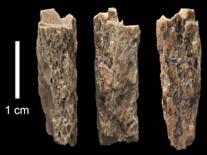 Fragmentos de hueso de la mujer denisoviana híbrida.