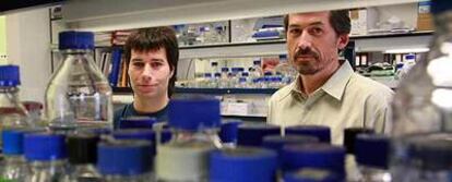 Alberto López (izquierda) y Antonio Alcamí en su laboratorio del Centro Nacional de Biotecnología.