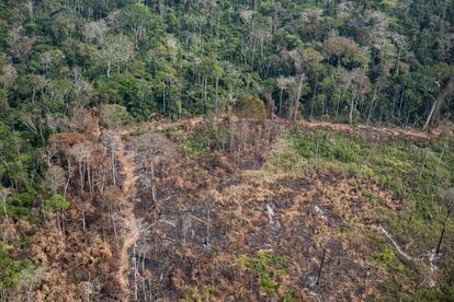 Área no Acre onde já houve desmatamento e queimada. Um levantamento do site InfoAmazonia, com base em dados públicos, indica que entre os dez municípios com mais incêndios no país, sete estão entre os que também mais sofreram com desmatamento anterior.