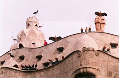 La azotea y la fachada de la Casa Milà, ayer, con las figuras de la exposición <i>Los pájaros visitan La Pedrera</i>.