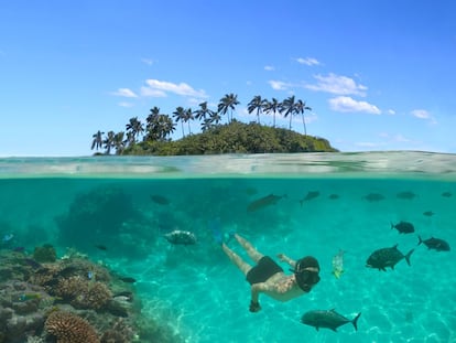 Los 15 pequeños atolones que forman las Islas Cook, perdidos en un rincón del Pacífico Sur, son uno de esos destinos cada vez más visitados, a pesar de la distancia. En Rarotonga, su isla principal, ya no se extrañan de ver procesiones de turistas que llevan en los cada vez más numerosos vuelos internacionales. Llegan sobre todo a relajarse en sus playas y 'resorts', y muchos también a probar algunas de sus propuestas de aventuras y deportes al aire libre, sobre todo relacionadas con sus transparentes arrecifes de coral, como el esnórquel, que es casi deporte nacional. Desde Rarotonga (en la imagen) se puede volar para descubrir una joya como la isla de Aitutaki, con una laguna color turquesa que algunos consideran que es “la laguna más bella del mundo”.<br></br> Pero este destino va más allá de sus playas e impresionantes 'lagoons': se puede trasegar cerveza casera en un típico 'tumunu de Atiu' (Club de bebedores de cerveza), explorar los antiguos arrecifes de coral y los campos de taro de la isla de Mangaia o nadar en las poas de las cuevas subterráneas de Mitiaro y Ma’uke. Y para quien quiera sentirse más lejos aún de la civilización, las islas del norte han sido visitadas por muy poca gente; aunque no es fácil (ni barato) llegar hasta allí.