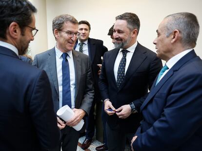 Alberto Núñez Feijóo y Santiago Abascal, durante una charla en el Senado, en enero.