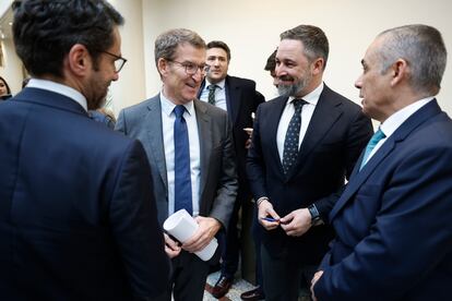 Alberto Núñez Feijóo y Santiago Abascal, durante una charla en el Senado, en enero.