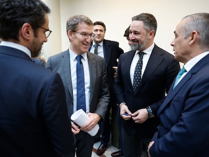 Alberto Núñez Feijóo y Santiago Abascal, en el Senado, en enero.