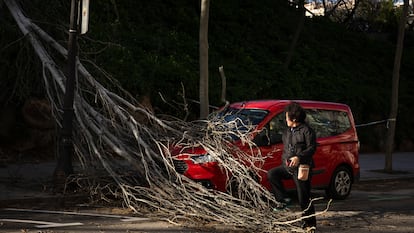 Ampliación | Muere una mujer a la que le cayó encima un techo durante el temporal de viento en Barcelona