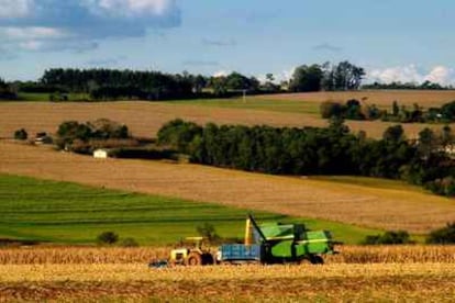 Los investigadores resaltan que no se trata de contraponer la protección del medio ambiente a la producción de alimentos, sino de usar el nitrógeno de forma mucho más eficaz