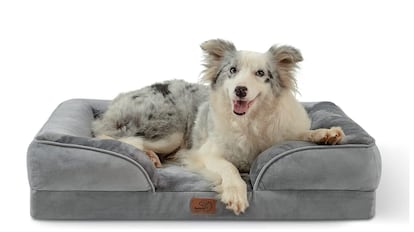 camas para perros, cama perro grande, camas para perros Ikea, las mejores camas para perros, ¿qué tipo de cama es mejor para perros?, camas para perros amazon, camas para perros originales, camas para perros baratas, camas para perros pequeños, cómo hacer camas para perros