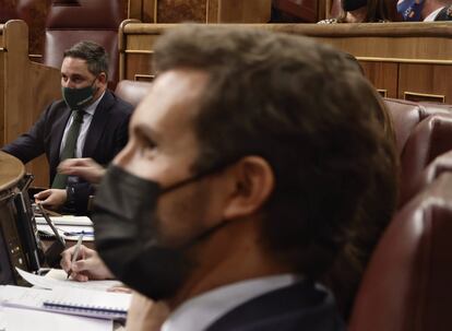 Pablo Casado y Santiago Abascal, durante el pleno del Congreso del pasado 10 de noviembre.