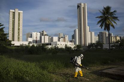 Una fumigación en Recife, Brasil.
