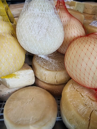 Variedades de quesos de Puglia.