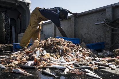 La Cofradía de Pescadores de Barcelona se comprometió en 2015 con las administraciones a devolver a puerto los residuos que caigan en sus redes.