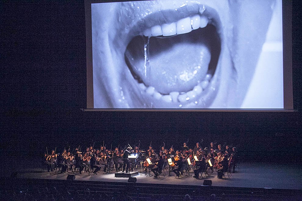 La Orquestra Simfònica del Vallès celebra el 40 aniversario con clásicos y nuevos formatos en el Palau de la Música