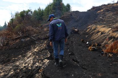 Un funcionario de la CAR camina por una zona afectada por los incendios forestales de febrero.