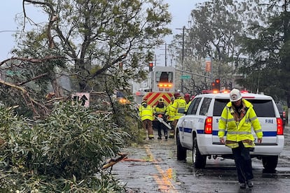 Bomberos del condado de Santa Bárbara retiran árboles derribados por la tormenta.