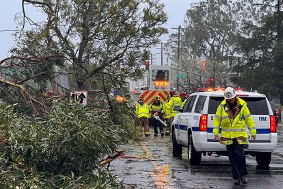 Bomberos del condado de Santa Bárbara retiran árboles derribados por la tormenta.