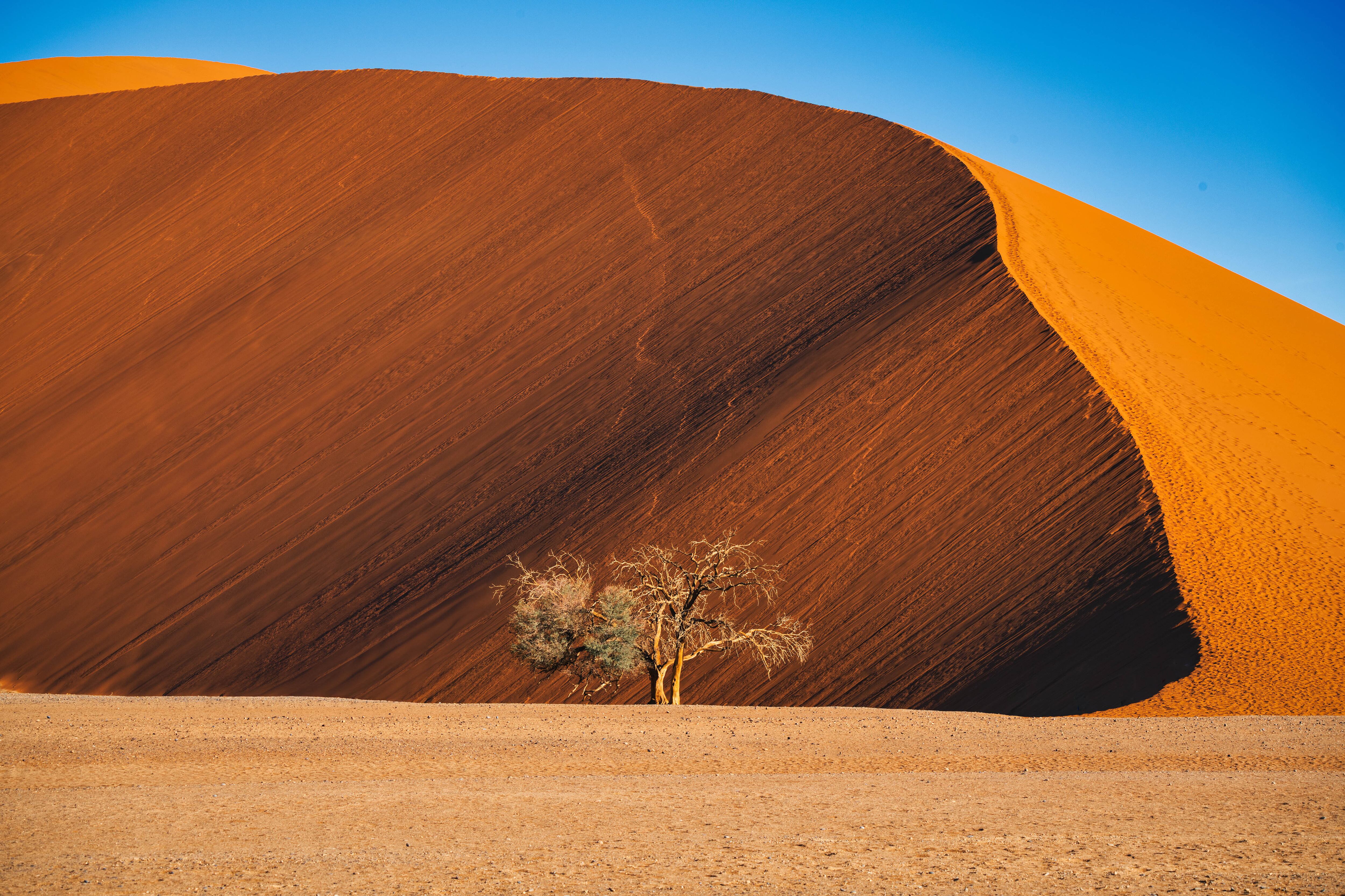 Namibia: del desierto al océano