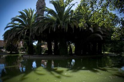 En el Bot&aacute;nico de Lisboa,cuando el viento ha arreciado, el rumor poderoso de los &aacute;rboles borra por completo el de la ciudad.