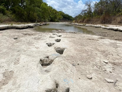 Huellas de dinosaurio en Texas