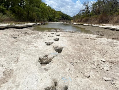 Huellas de dinosaurio en Texas