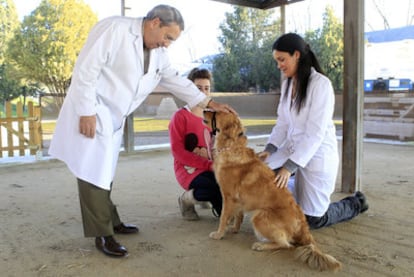 Miguel Ibáñez; la perra <i>Mia;</i> su dueña, Andrea Serrano, y Bernadette Anzola, en el Centro de Medicina del Comportamiento Animal.