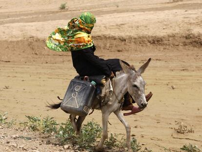 Una campesina busca agua a lomos de un burro en una zona desértica de Yemen, país azotado por la sequía.