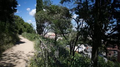 El terrapl&eacute;n de los jardines de Miramar por donde cay&oacute; el supuesto ladr&oacute;n. 