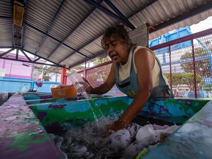 Desabasto de agua en Iztapalapa (Ciudad de México)