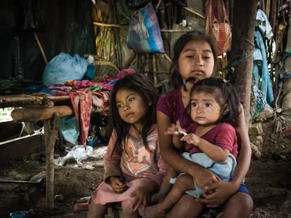 El 46,5% de los niños de Guatemala sufre desnutrición crónica.