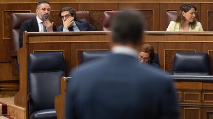 El líder de VOX, Santiago Abascal (a la izquierda), y el diputado de VOX José María Figaredo, durante una sesión de control al Gobierno, el 26 de junio.