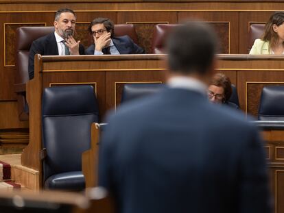 El líder de VOX, Santiago Abascal (a la izquierda), y el diputado de VOX José María Figaredo, durante una sesión de control al Gobierno, el 26 de junio.