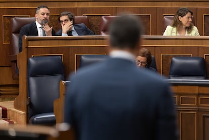 El líder de VOX, Santiago Abascal (a la izquierda), y el diputado de VOX José María Figaredo, durante una sesión de control al Gobierno, el 26 de junio.