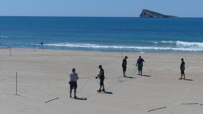 Varios trabajadores parcelan una playa en Benidorm.