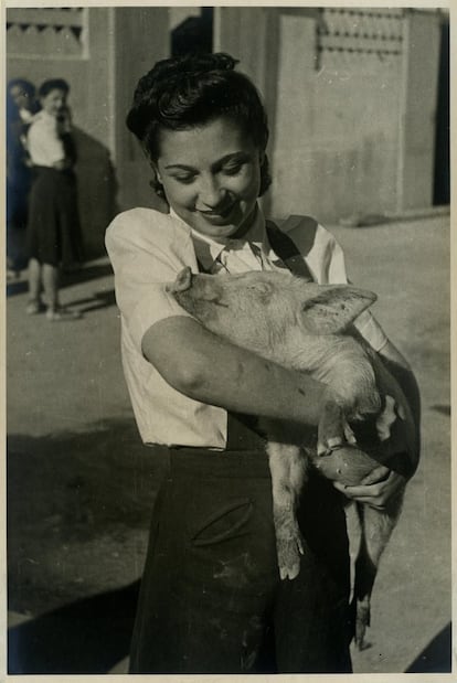 Una mujer sostiene un cerdo a las afueras del castillo de la Mota.