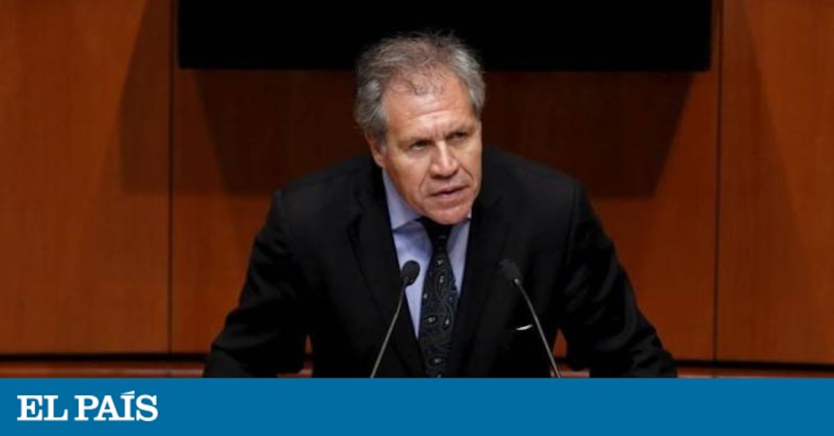 La OEA convoca una reunión extraordinaria por la crisis de Venezuela ...