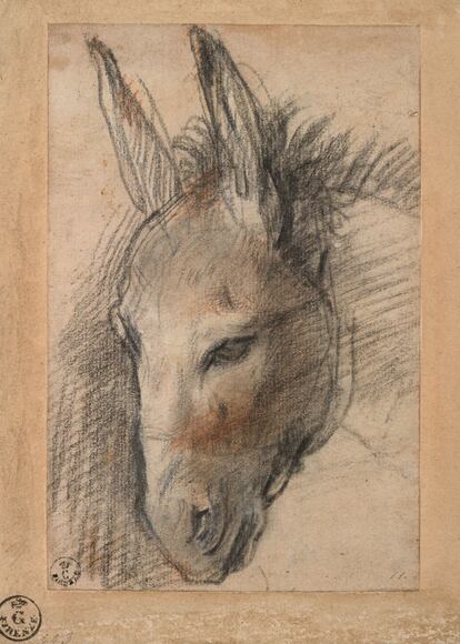 'Boceto para una cabeza de burro', propiedad del Gabinete de diseños e impresos de los Uffizi.