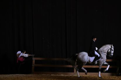 Ambiente en las jornadas previas al sal&oacute;n internacional del caballo en Sevilla, dedicado a la pura raza espa&ntilde;ola. 